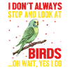 Budgerigar, Feathered Friend, Bird Watching