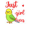 Budgerigar, Feathered Friend, Bird Watching