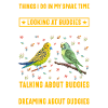 Budgerigar, Feathered Friend, Bird Watching