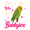 Budgerigar, Feathered Friend, Bird Watching