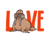 Walrus