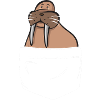 Walrus