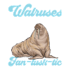 Walrus