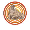 Walrus