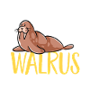 Walrus