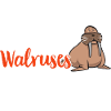 Walrus