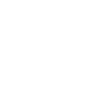 2006