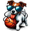 Jack Russell Terrier Basketball Solbriller