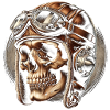 Retro Flight Skull