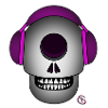 Neuro Skull