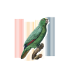 Macaw, Birds, Beak, Cockatoo