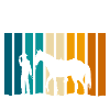 Rodeo Freedom Equestrian