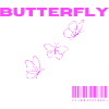 Definition of Butterfly