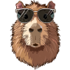 Capybara Sunglasses