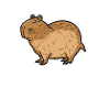Bruh Capybara