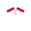 Polish Translator Polish Interpreter