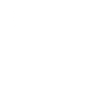 Le projet Moon