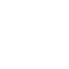 the best version