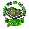 Microgreens Microgreen