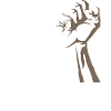 Free Gaza Free Palestine