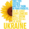 Ukraine Sunflower