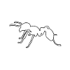 Ant Whisperer