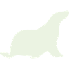 robbe white