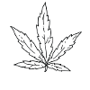 Cannabis Blatt