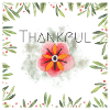 Thankful