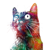 Funny cat2