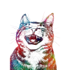 Funny cat 1