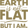 Satire Flat Earth Ironic Jokes