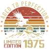 Vintage 1975 Limited Edition 1975 Retro 1975
