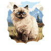 Himalayan Cat Colourpoint Katze