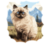 Himalayan Cat Colourpoint Katze