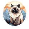 Himalayan Cat Colourpoint Katze