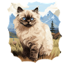 Chat de l’Himalaya Colourpoint Katze