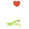 Humour insecte Mante religieuse