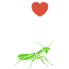 Humour insecte Mante religieuse