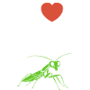 Humour insecte Mante religieuse