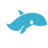 whale