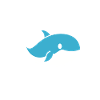 humour baleine