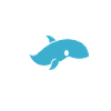humour baleine