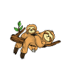 Big Brother 2024 Sloth