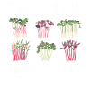 Urban Gardener Men Women Microgreens