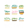 Urban Gardener Men Women Microgreens