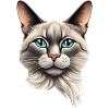 Cat Blue Eyes