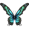 Glowing Butterfly Elf