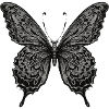 Black and White Butterfly Art