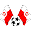 Deux drapeaux polonais football Pologne